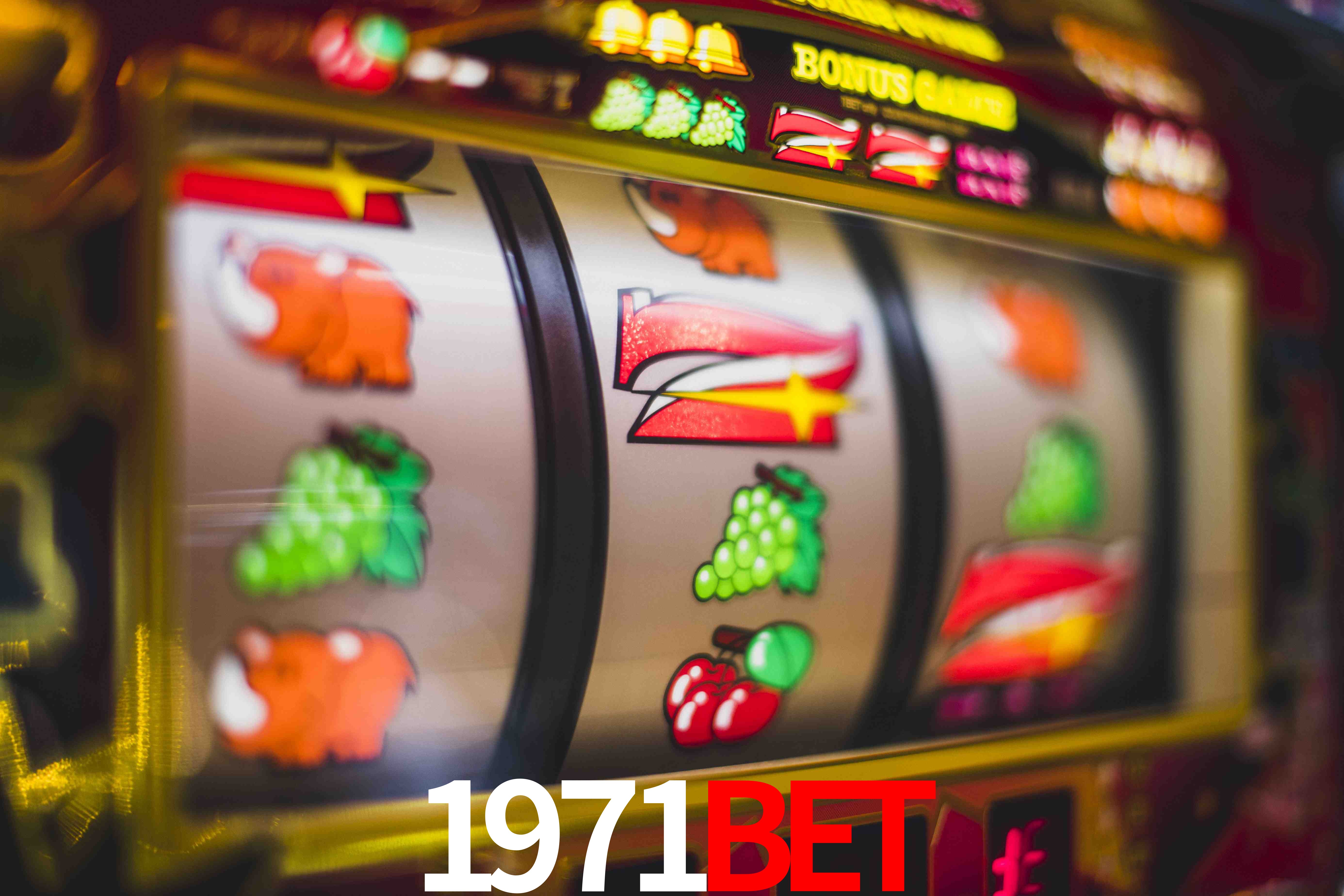 Experiência VIP 1971bet